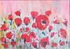 Champ de coquelicots